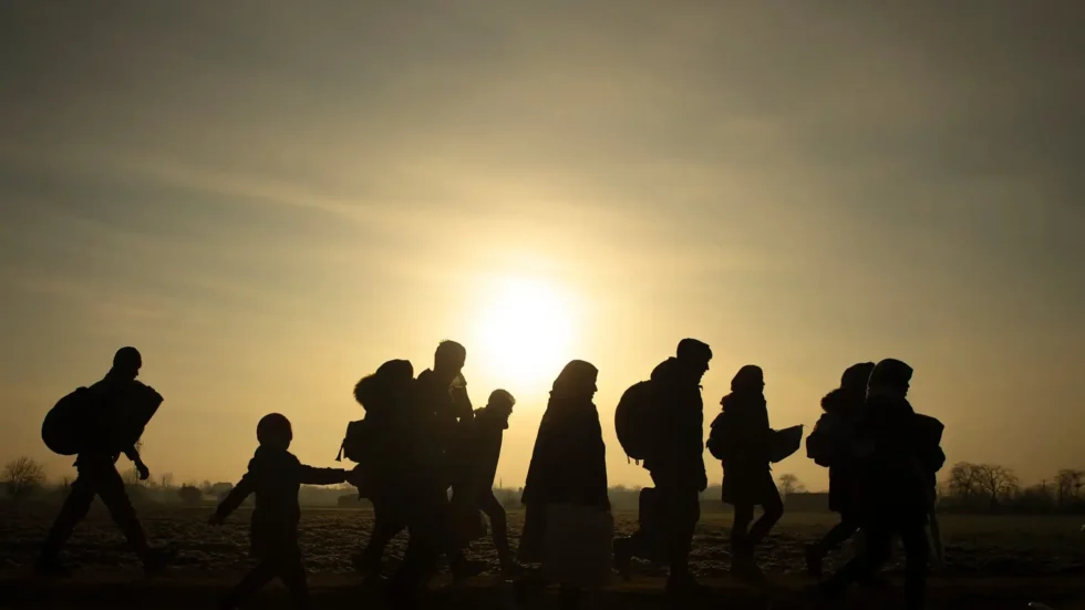 In Conversation with Haitian Bridge Alliance on World Refugee Day 2024